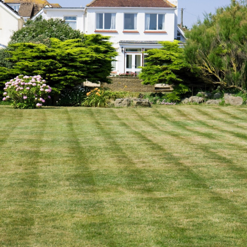 Lawn Care in Topeka Lawn Care in Topeka
