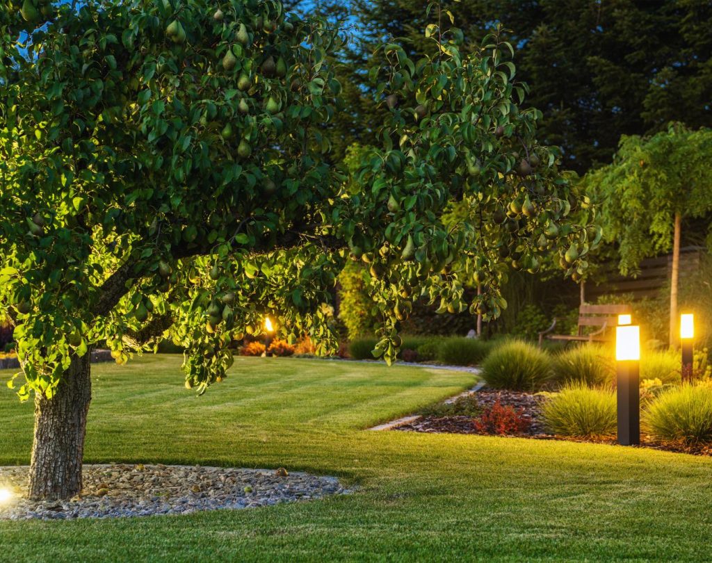 Backyard patio landscaping in Johnson County, KS with custom bed work