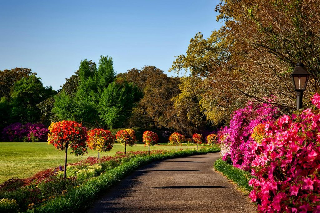 Landscaping near me in Lawrence, KS showing native flowers and shaded beds
