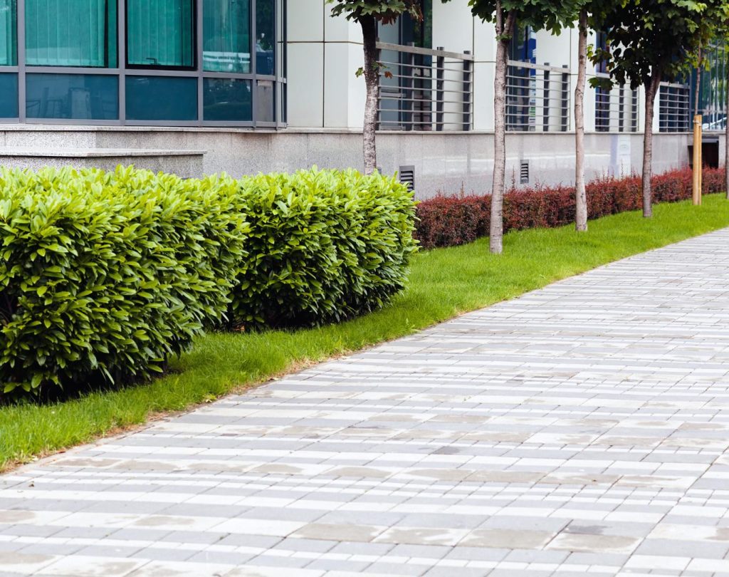 Backyard landscaping in Gardner, KS with trees, shrubs, and outdoor seating area